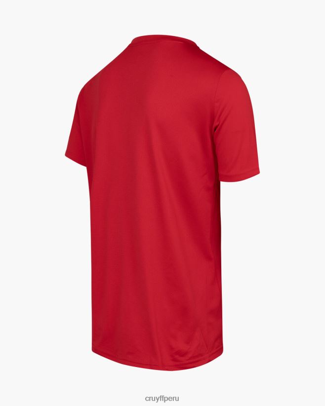 educación física Cruyff camiseta de entrenamiento rojo 42TR20628 hombres camiseta