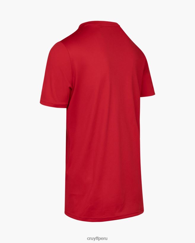 educación física Cruyff camiseta de entrenamiento rojo 42TR20628 hombres camiseta