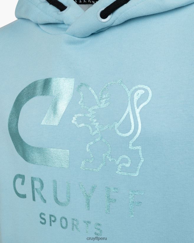 educación física Cruyff hacer sudadera con capucha hielo 42TR201107 júnior sudadera